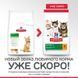 Hill's (Хиллс) Science Plan Kitten Chicken - Сухой корм с курицей для котят до 1 года, 7 кг